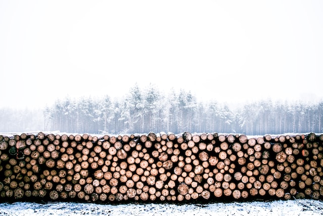 Factors to Consider When Choosing a Firewood Log Supplier
