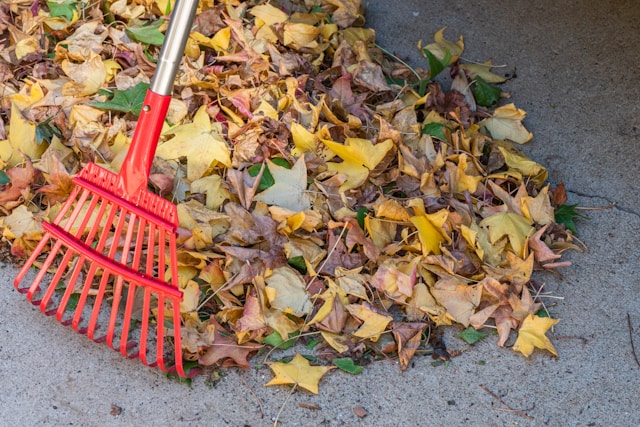 The Ultimate Guide to Efficient Leaf Cleanup in Your Yard by a Professional