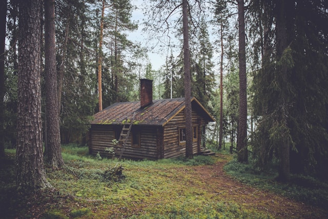 The Benefits of Choosing a Cabin Getaway for Your Next Vacation