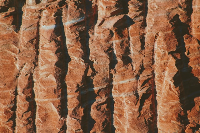The Rising Importance of Hydro Excavation Vacuum Technology in Modern Construction